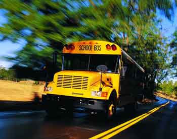 International 3800 School Bus